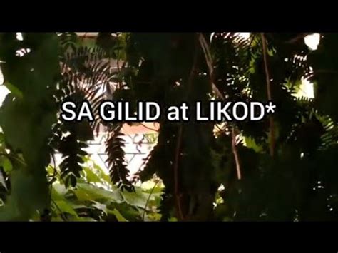 Laplapan at SALPUKAN sa Sementeryo, Nahuli ko .